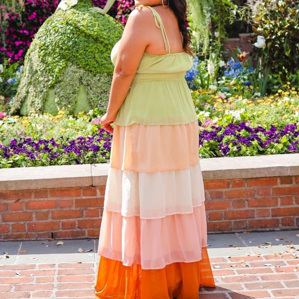 TIANA'S‎ PLACE MAXI DRESS - Picture 5 of 6